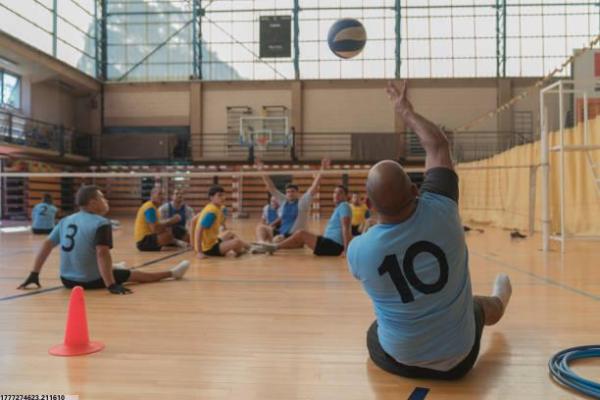 陵水体育培训机构合作模式分析(图1)